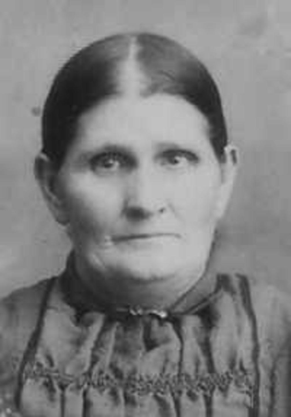 Jane Ellen Haslam (1846 - 1916) Profile